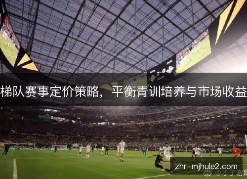 梯队赛事定价策略,平衡青训培养与市场收益 梯队赛事定价策略,平衡青训培养与市场收益